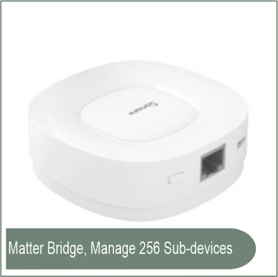 Sonoff Smart Zigbee Bridge